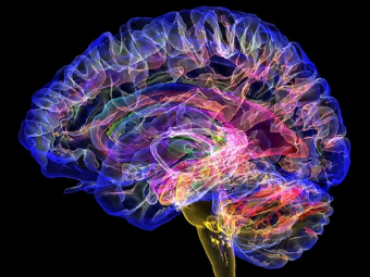 色欲插大脑植入物有助于严重头部损伤恢复